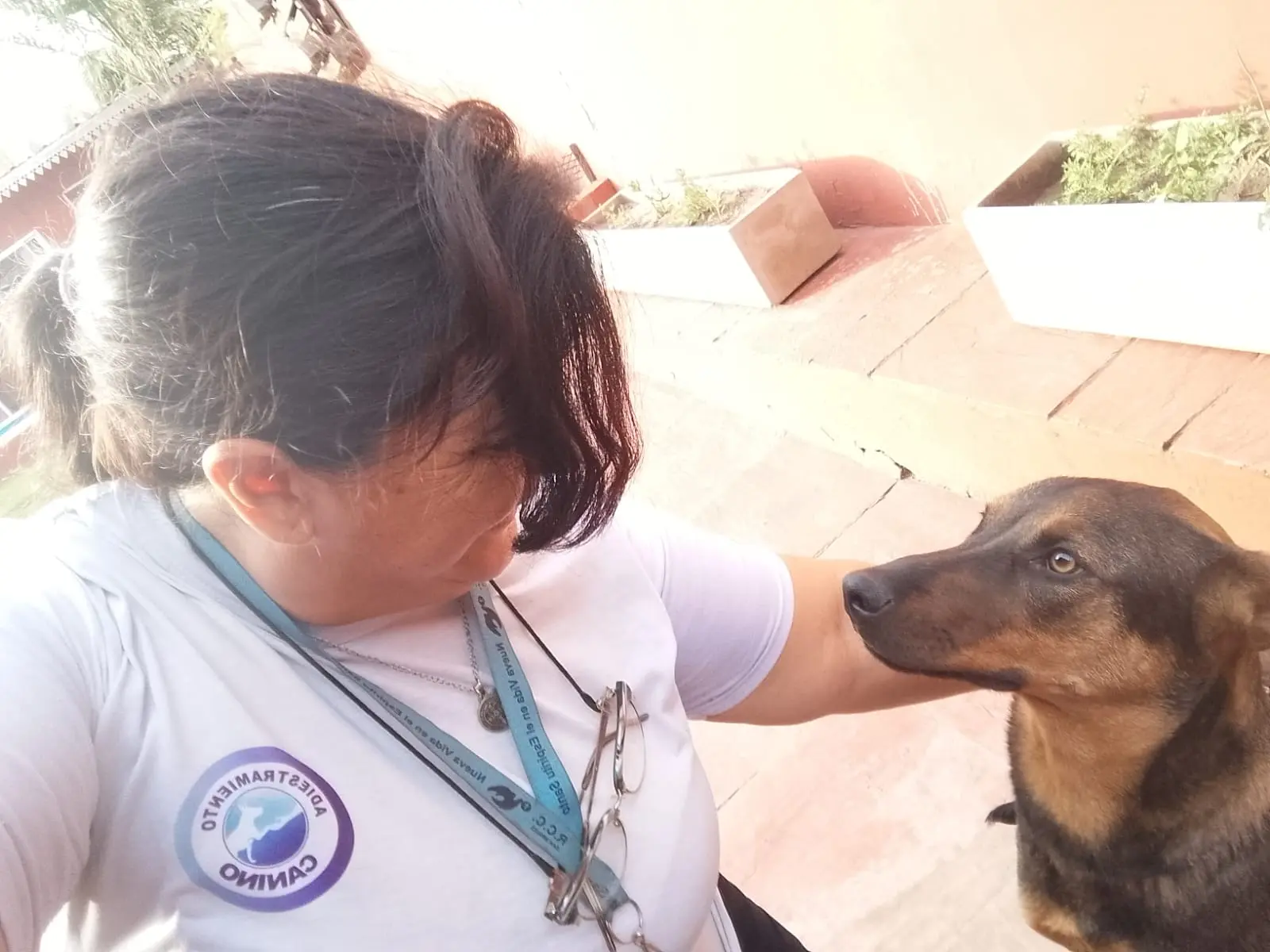 Ofrecemos adiestramiento canino en Gran Buenos Aires y CABA