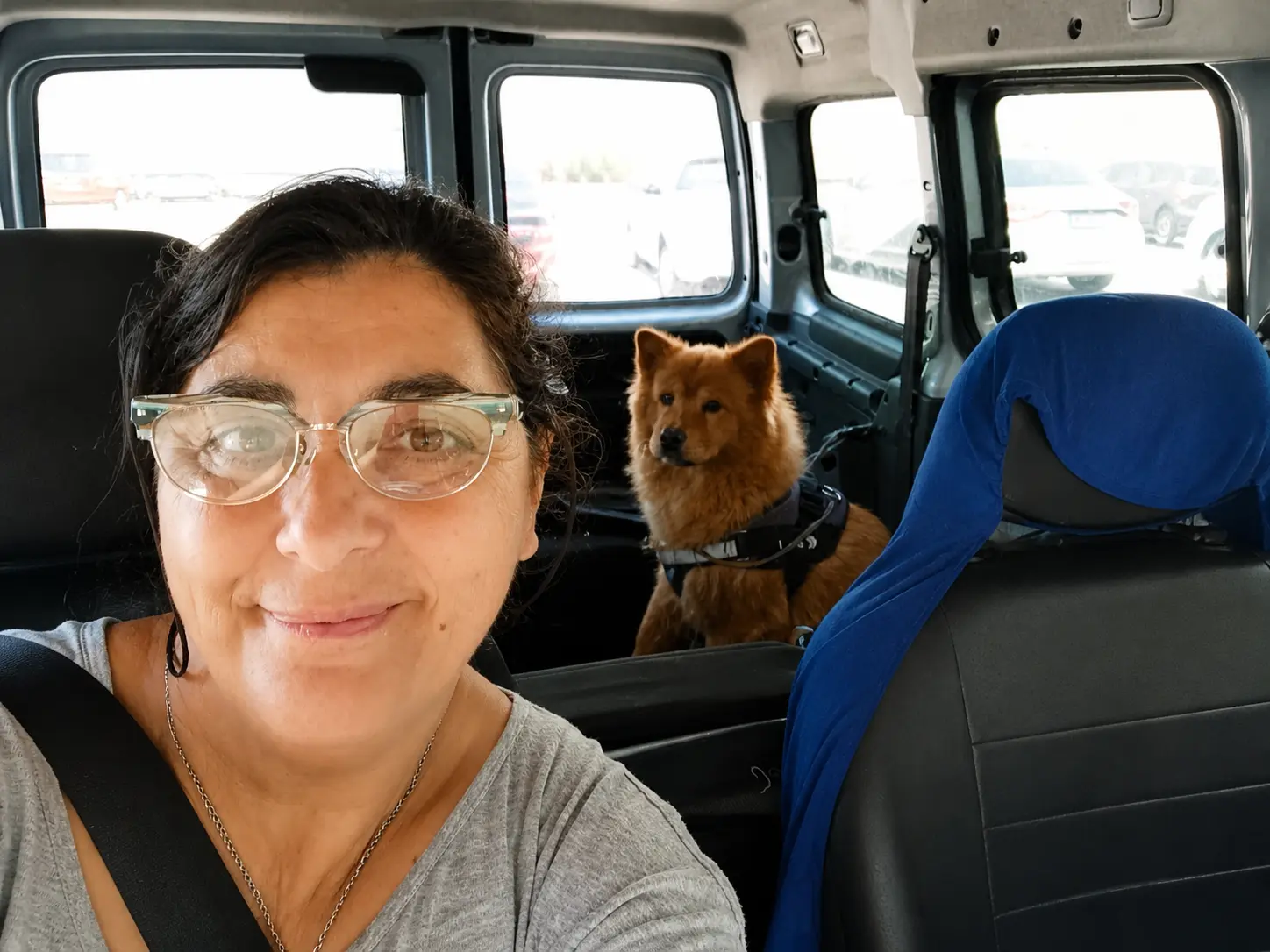 Traslado canino en camioneta en Gran Buenos Aires