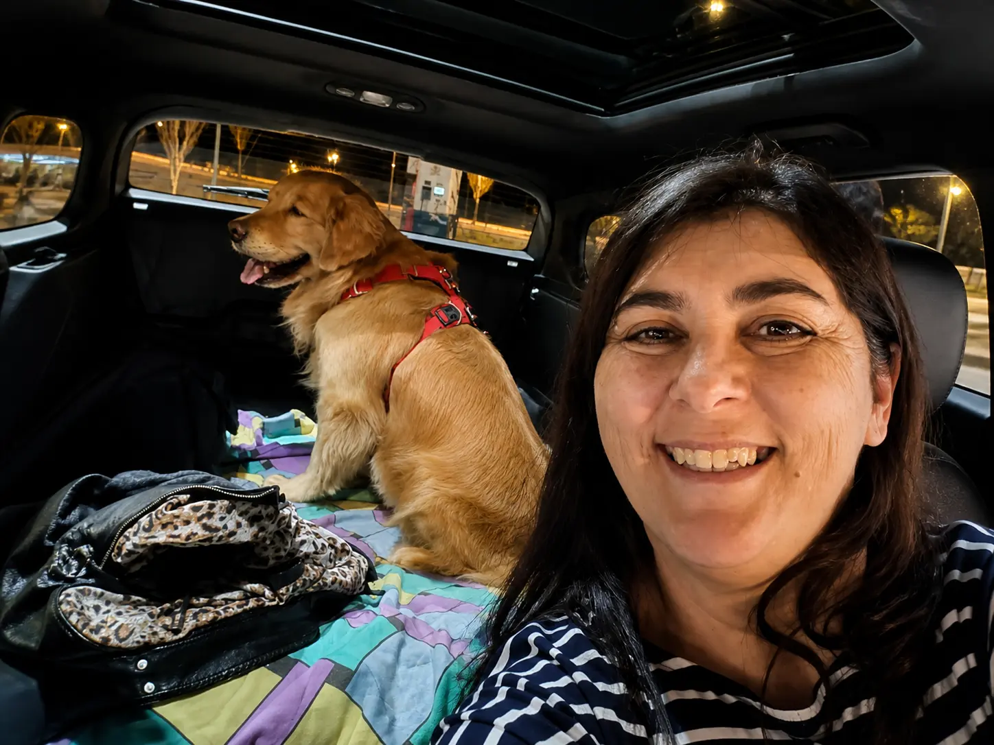 Ofrecemos traslado de mascota en Buenos Aires