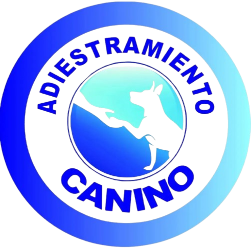 Adiestramiento canino en Buenos Aires